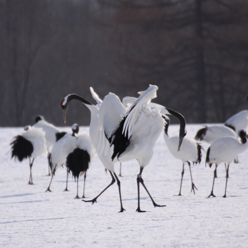 ファイル 19-2.jpg