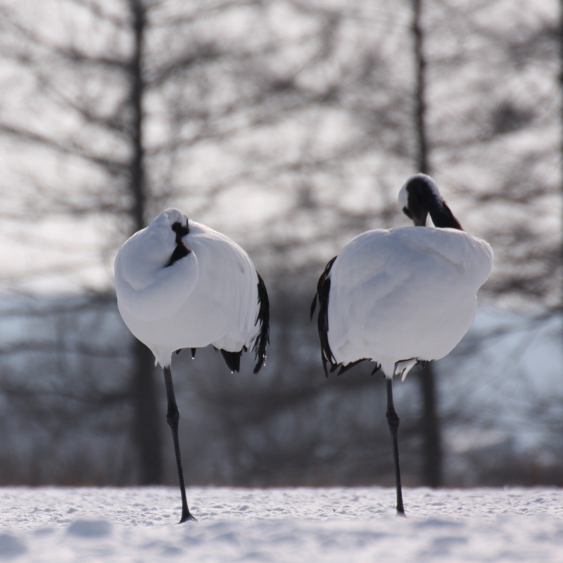 ファイル 19-5.jpg