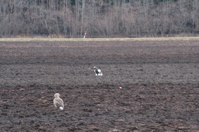 ファイル 191-1.jpg