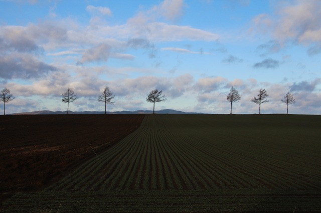 ファイル 191-3.jpg