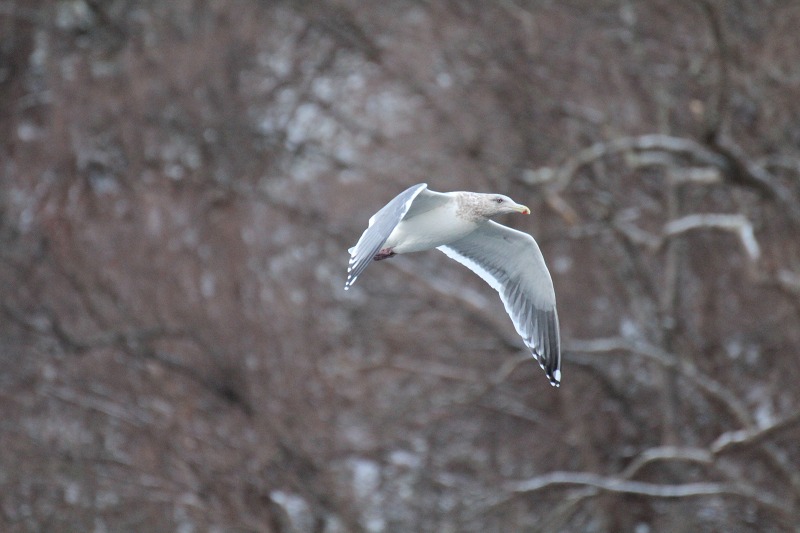 ファイル 192-4.jpg