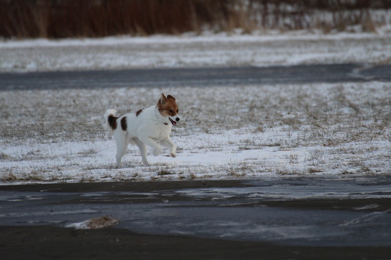 ファイル 193-3.jpg