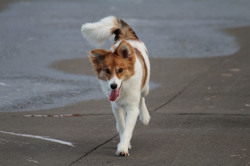 ファイル 193-5.jpg