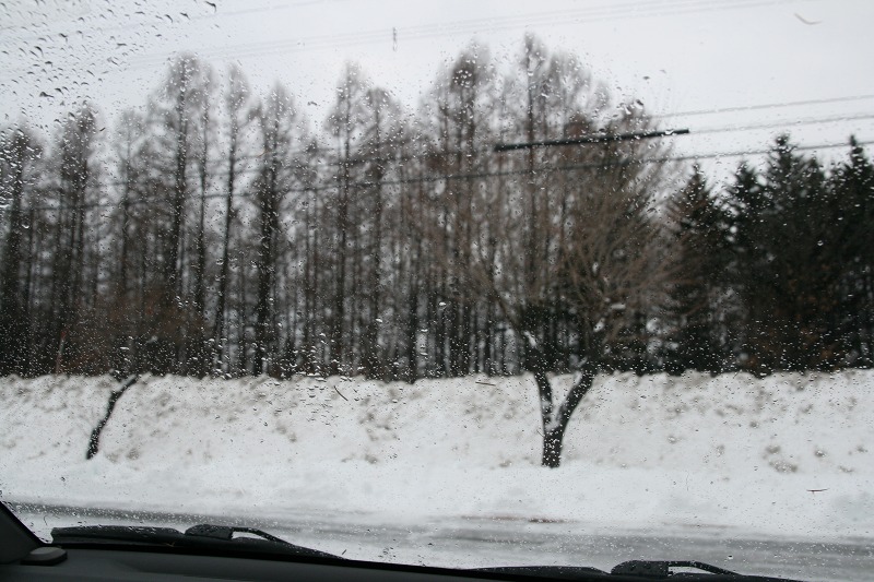 ファイル 194-1.jpg