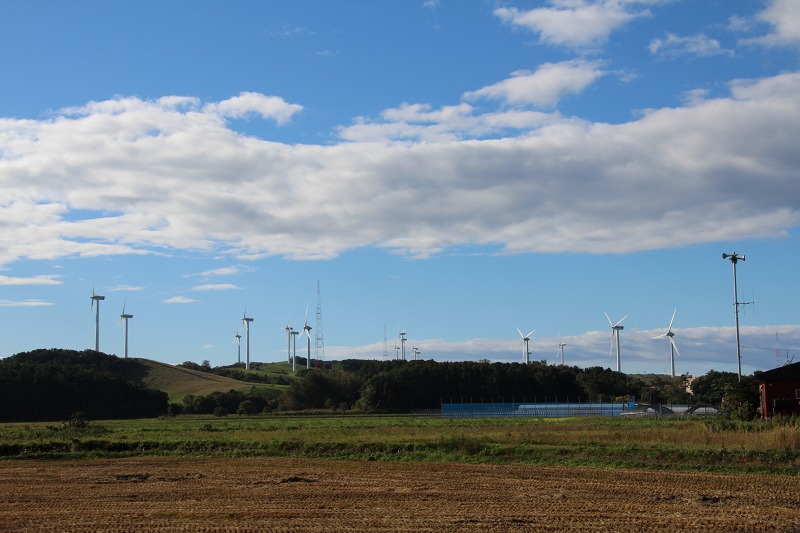 ファイル 195-1.jpg