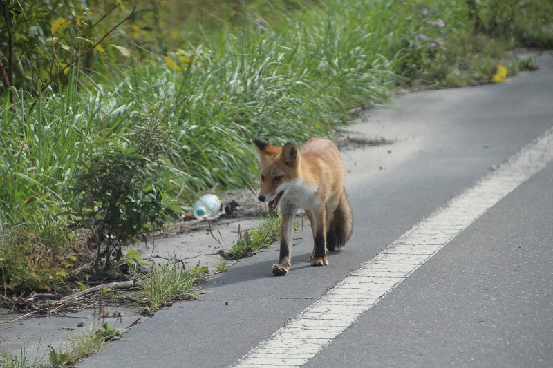 ファイル 197-5.jpg