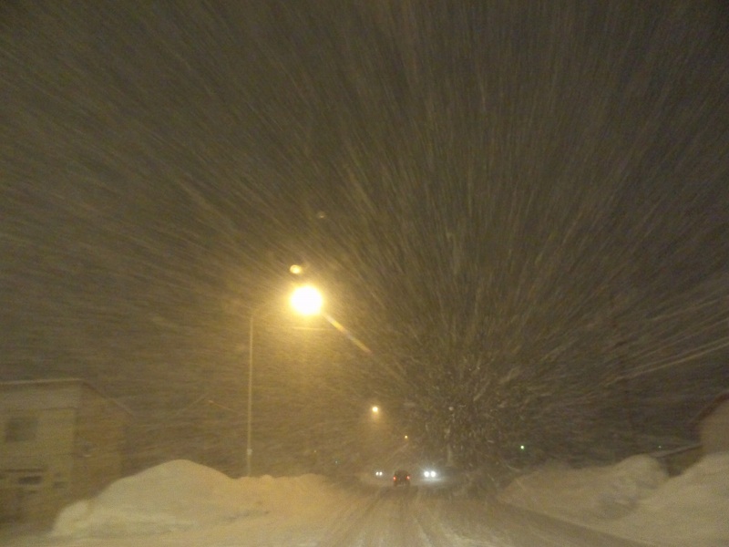 ファイル 20-2.jpg