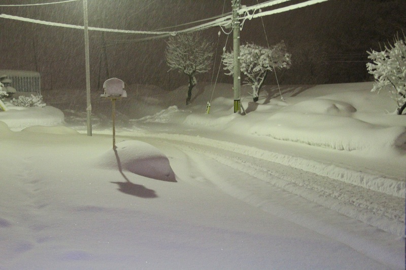 ファイル 20-4.jpg