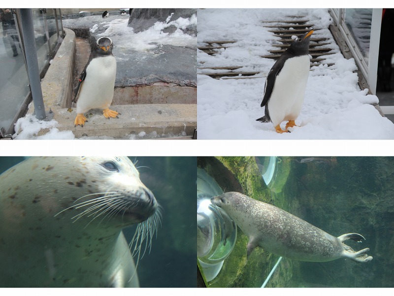 ファイル 201-2.jpg