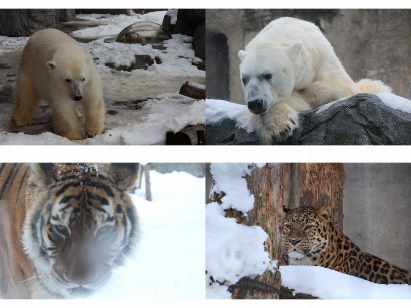 ファイル 201-3.jpg