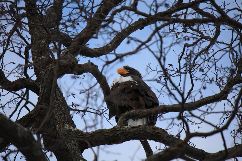 ファイル 202-3.jpg