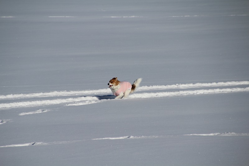 ファイル 204-1.jpg