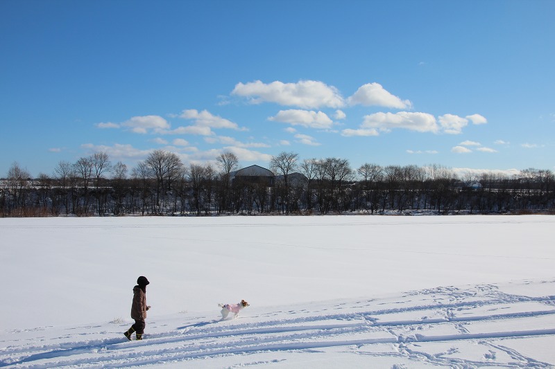 ファイル 204-5.jpg