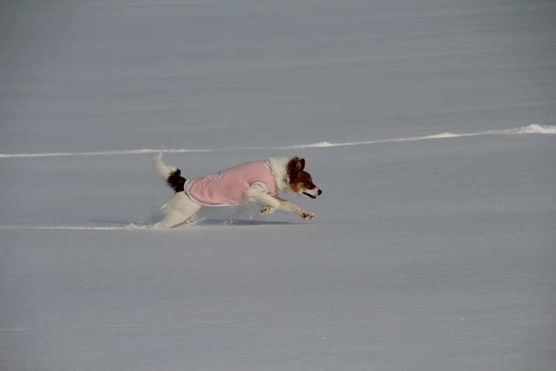 ファイル 206-3.jpg