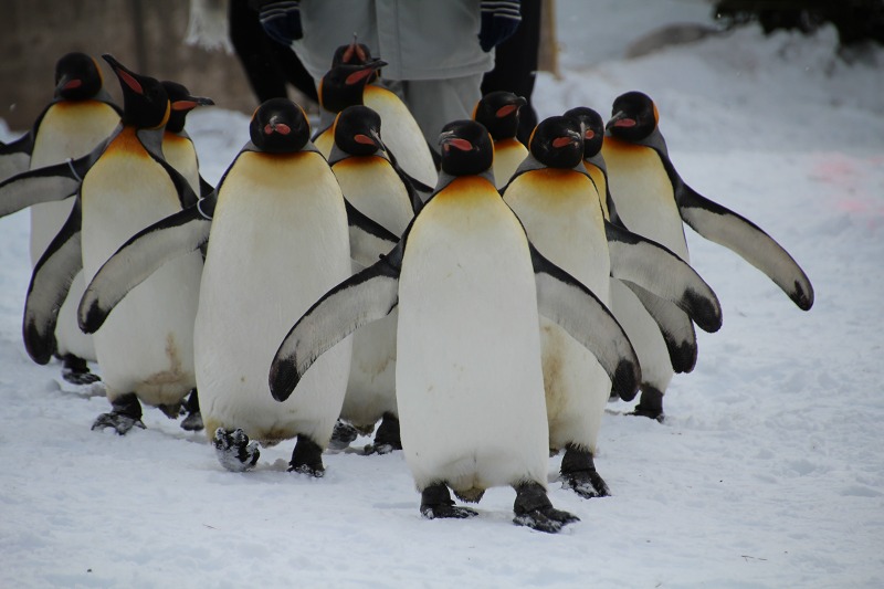 ファイル 207-1.jpg