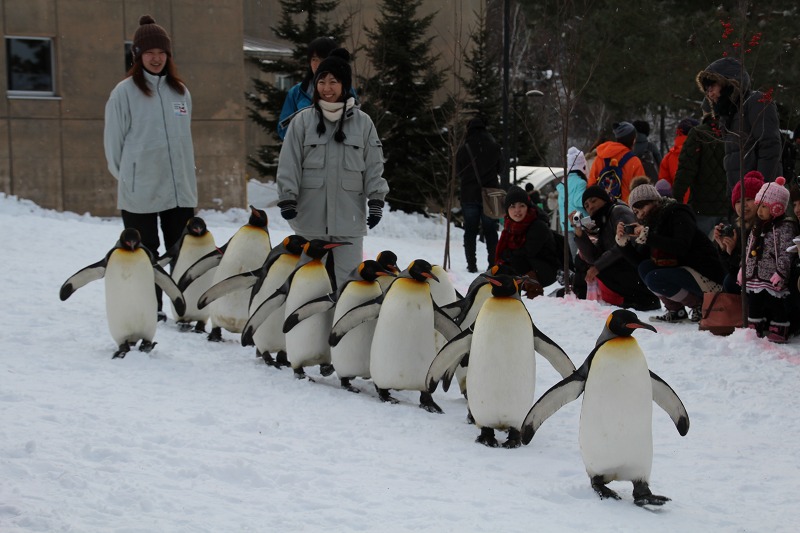 ファイル 207-2.jpg