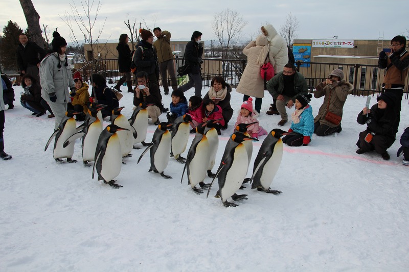 ファイル 207-3.jpg