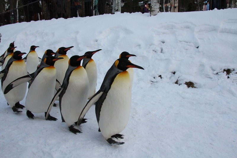 ファイル 207-5.jpg