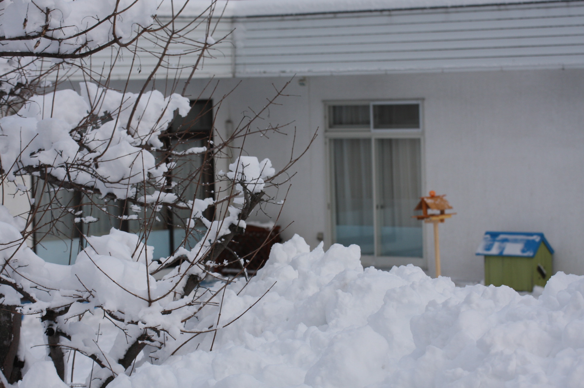 ファイル 21-3.jpg