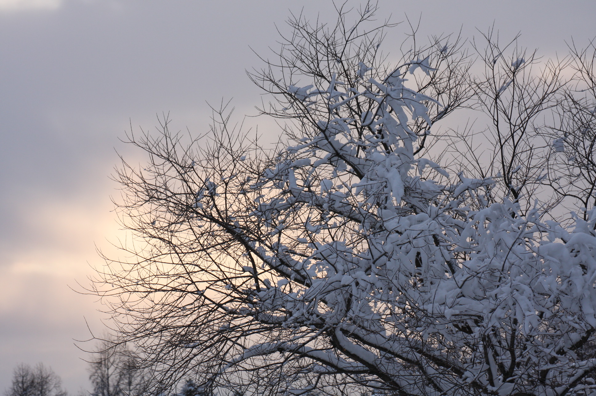 ファイル 21-5.jpg