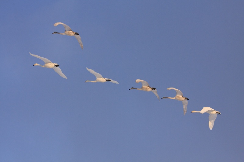 ファイル 23-2.jpg