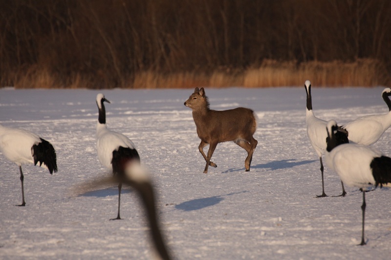 ファイル 23-3.jpg