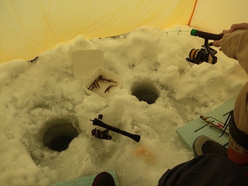 ファイル 24-1.jpg