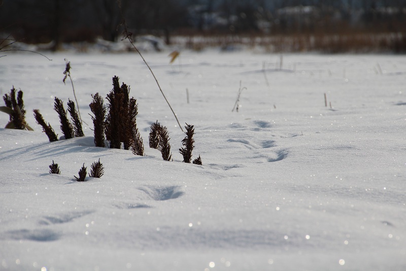 ファイル 25-4.jpg