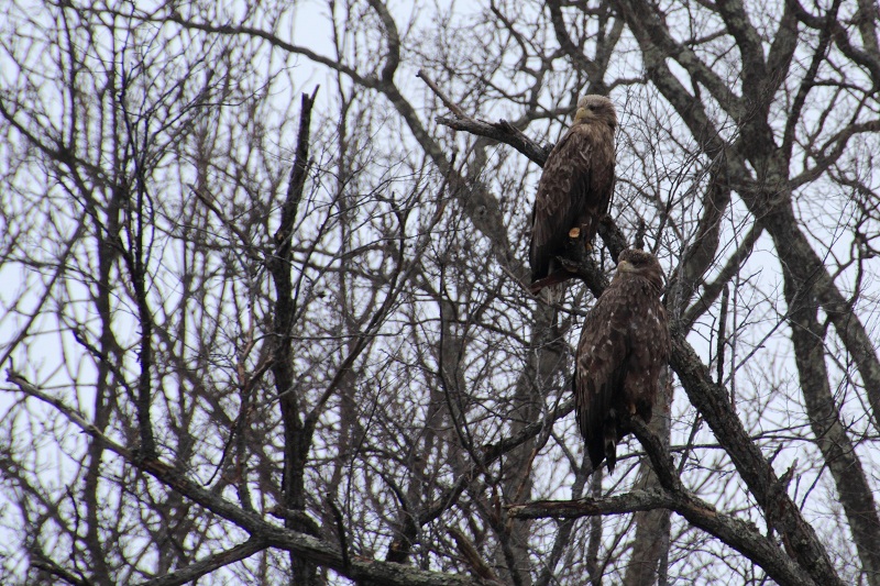 ファイル 26-2.jpg