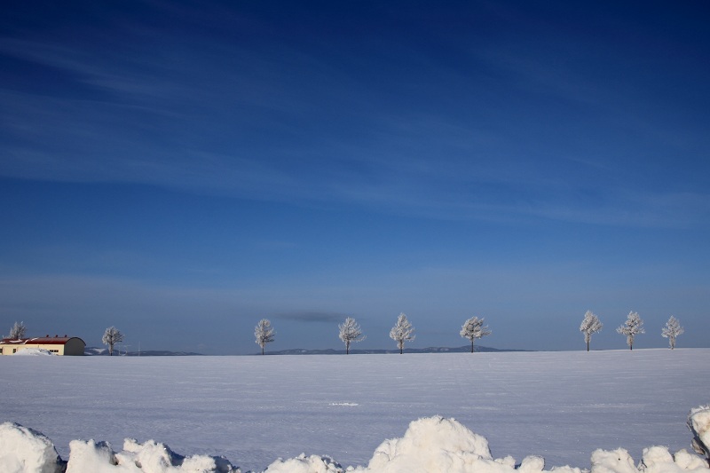 ファイル 27-1.jpg