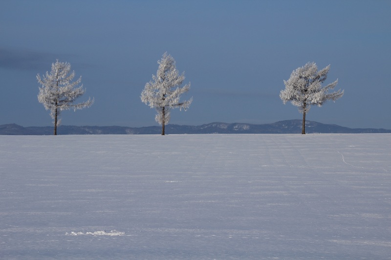 ファイル 27-2.jpg