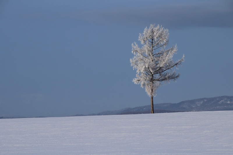 ファイル 27-3.jpg