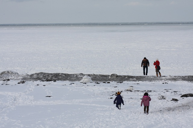 ファイル 29-4.jpg