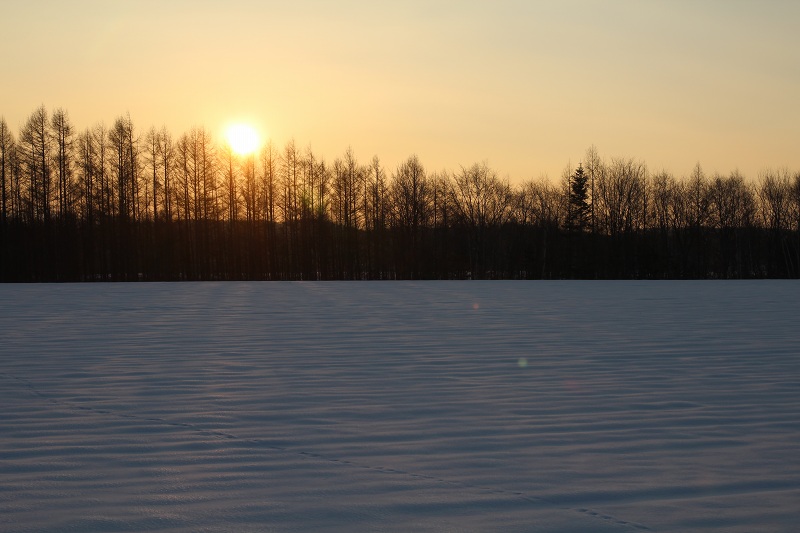 ファイル 3-1.jpg