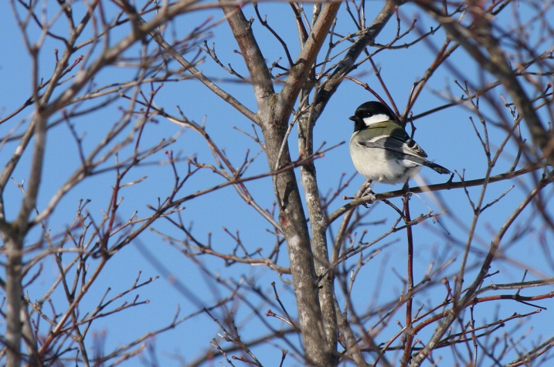 ファイル 3-2.jpg