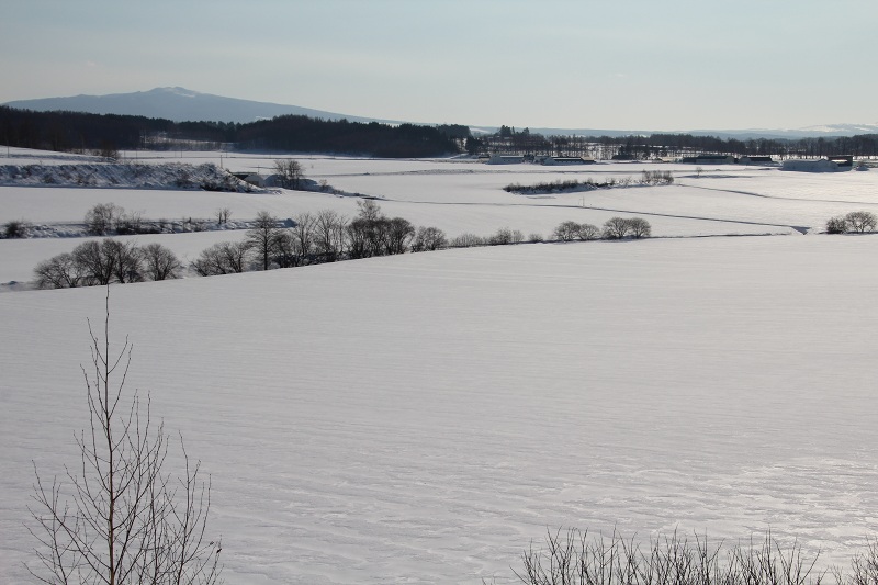 ファイル 3-5.jpg