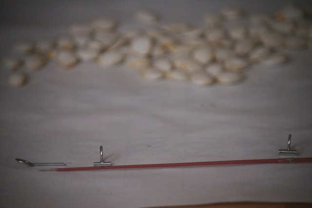 ファイル 30-2.jpg