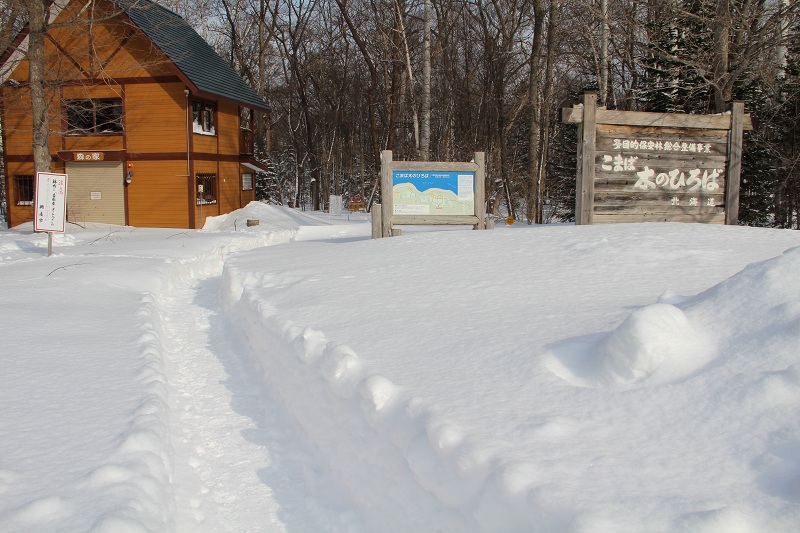 ファイル 32-1.jpg