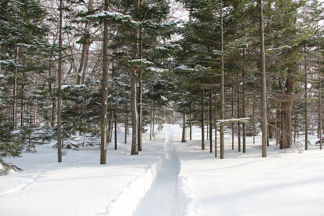 ファイル 32-2.jpg