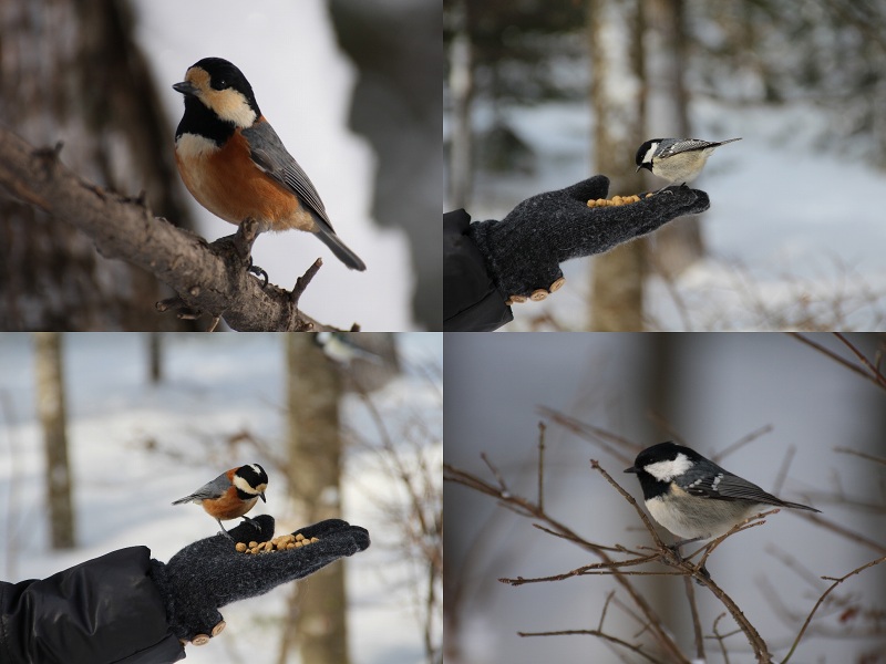 ファイル 32-4.jpg