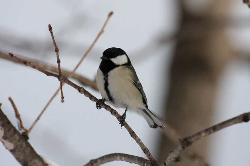 ファイル 32-5.jpg