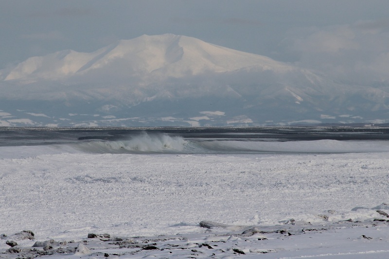 ファイル 33-1.jpg