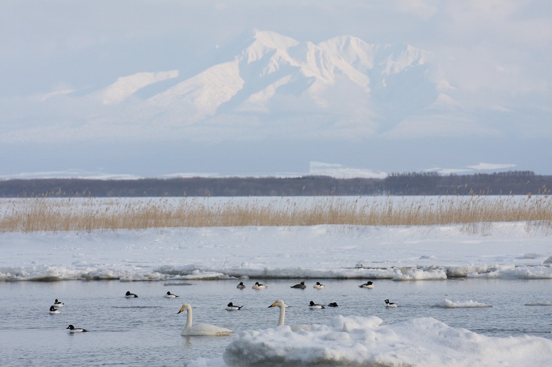 ファイル 33-4.jpg