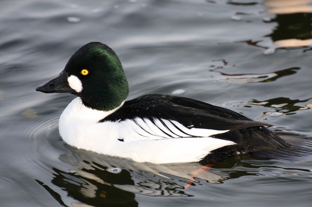 ファイル 33-5.jpg