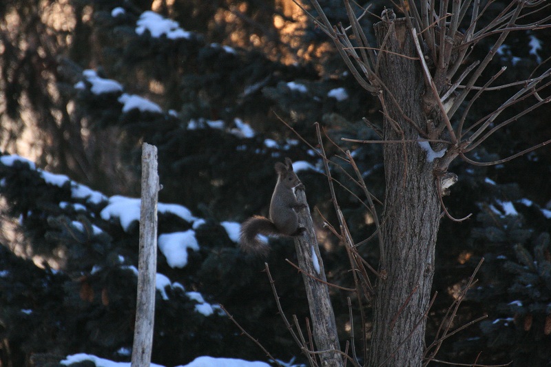 ファイル 37-2.jpg