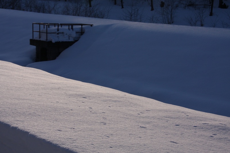 ファイル 39-1.jpg