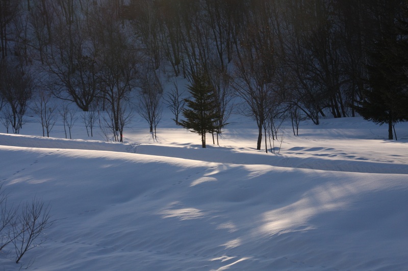 ファイル 39-2.jpg