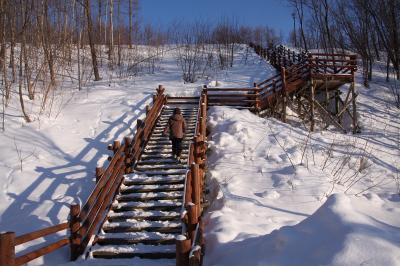 ファイル 39-3.jpg