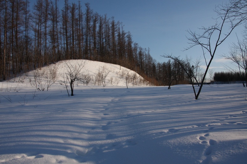 ファイル 39-4.jpg