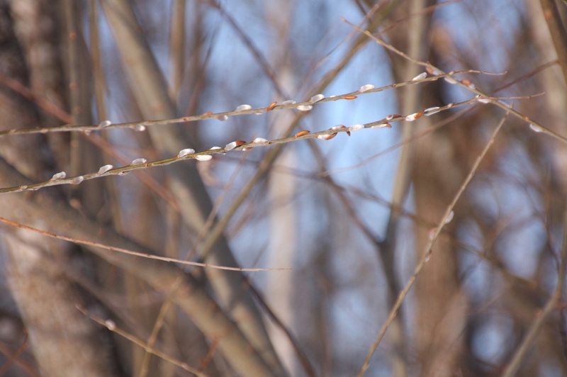 ファイル 39-5.jpg